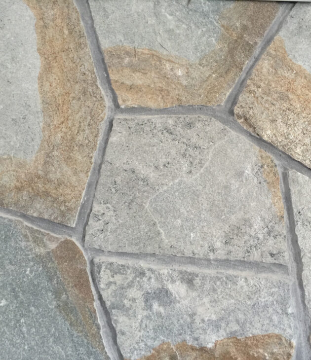 Plata Bicolor